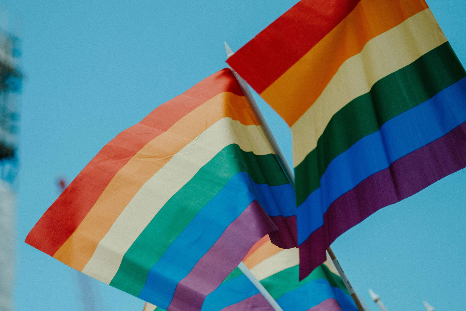 Two rainbow flags held in the air