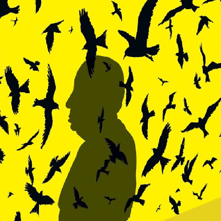 Yellow bird cartoons by a shadow of Hitchcock standing near a wall