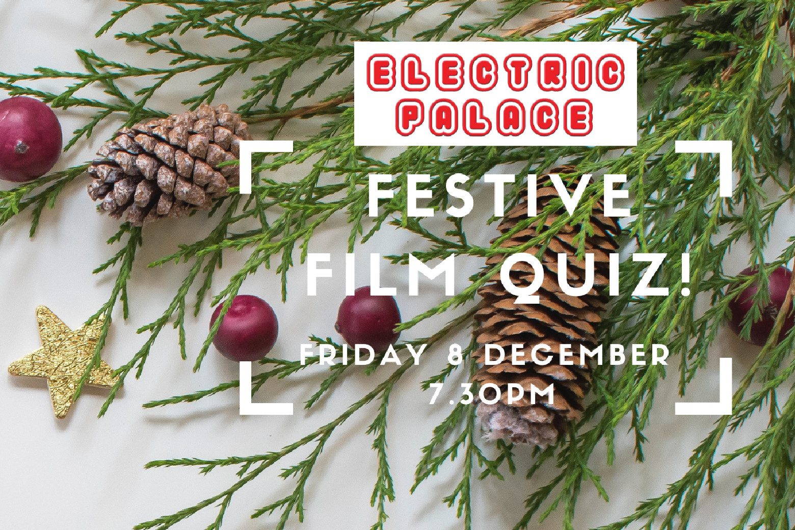 Festive Film Quiz 8 December (text) plus seasonal plants 
